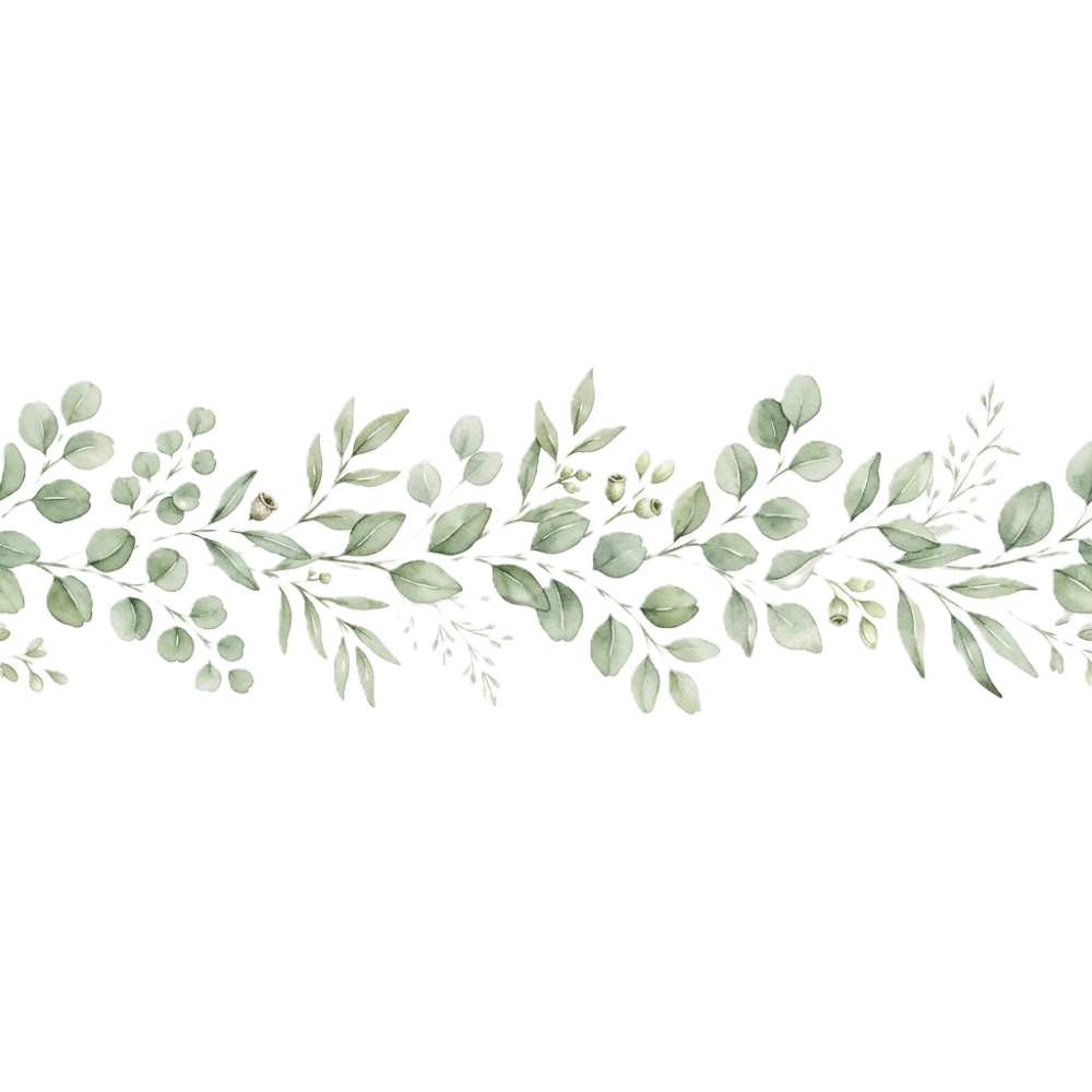 Eucalyptus leaf divider