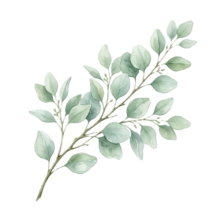 Eucalyptus top decoration