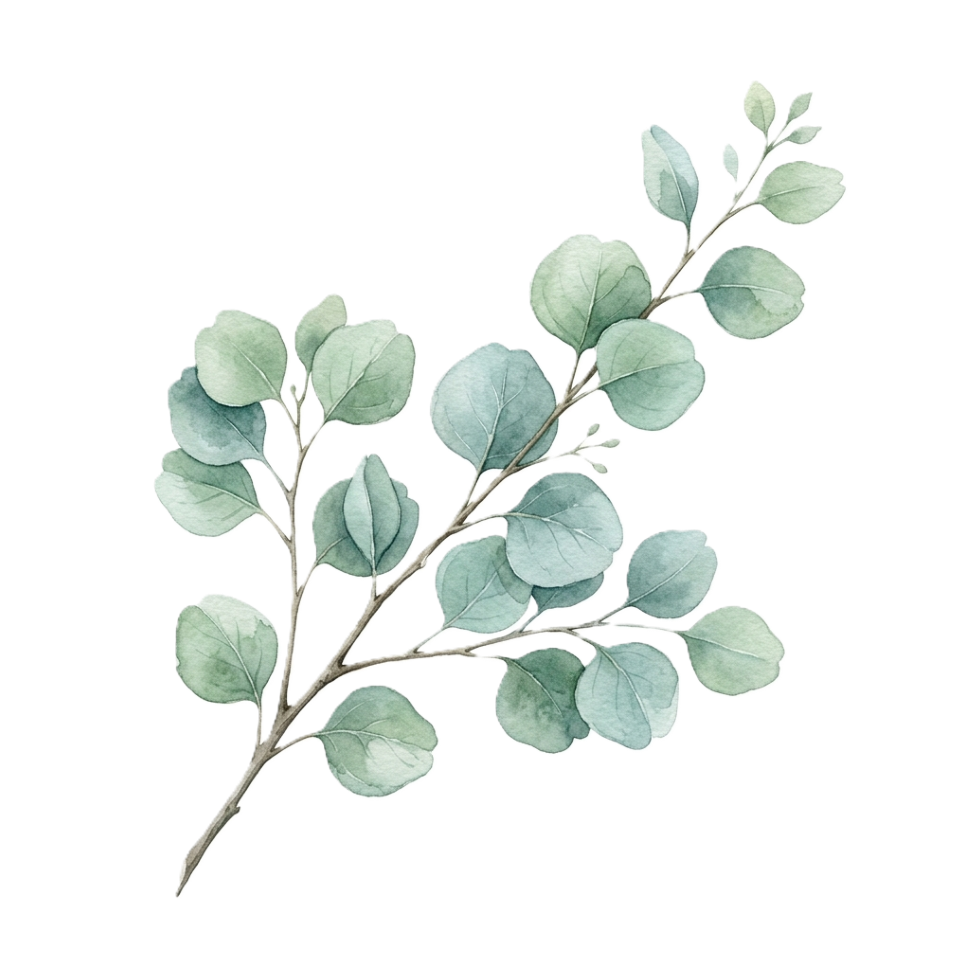 Eucalyptus bottom decoration
